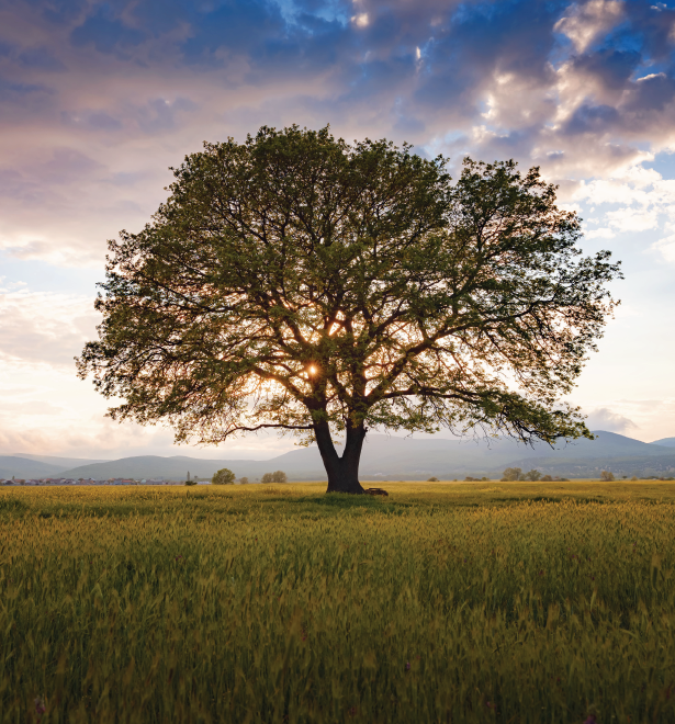Integrated Treatment for Trauma, Addiction, and Underlying Mental Health Conditions